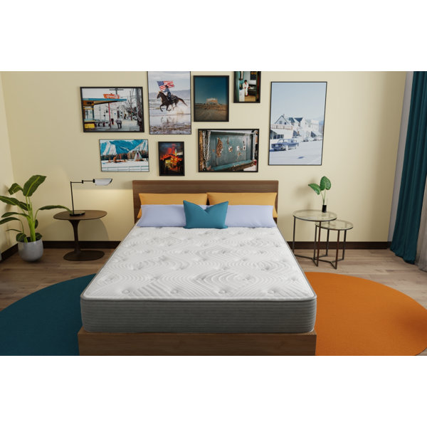 Alwyn Home Secondo 10'' Plush Mattress & Reviews Wayfair